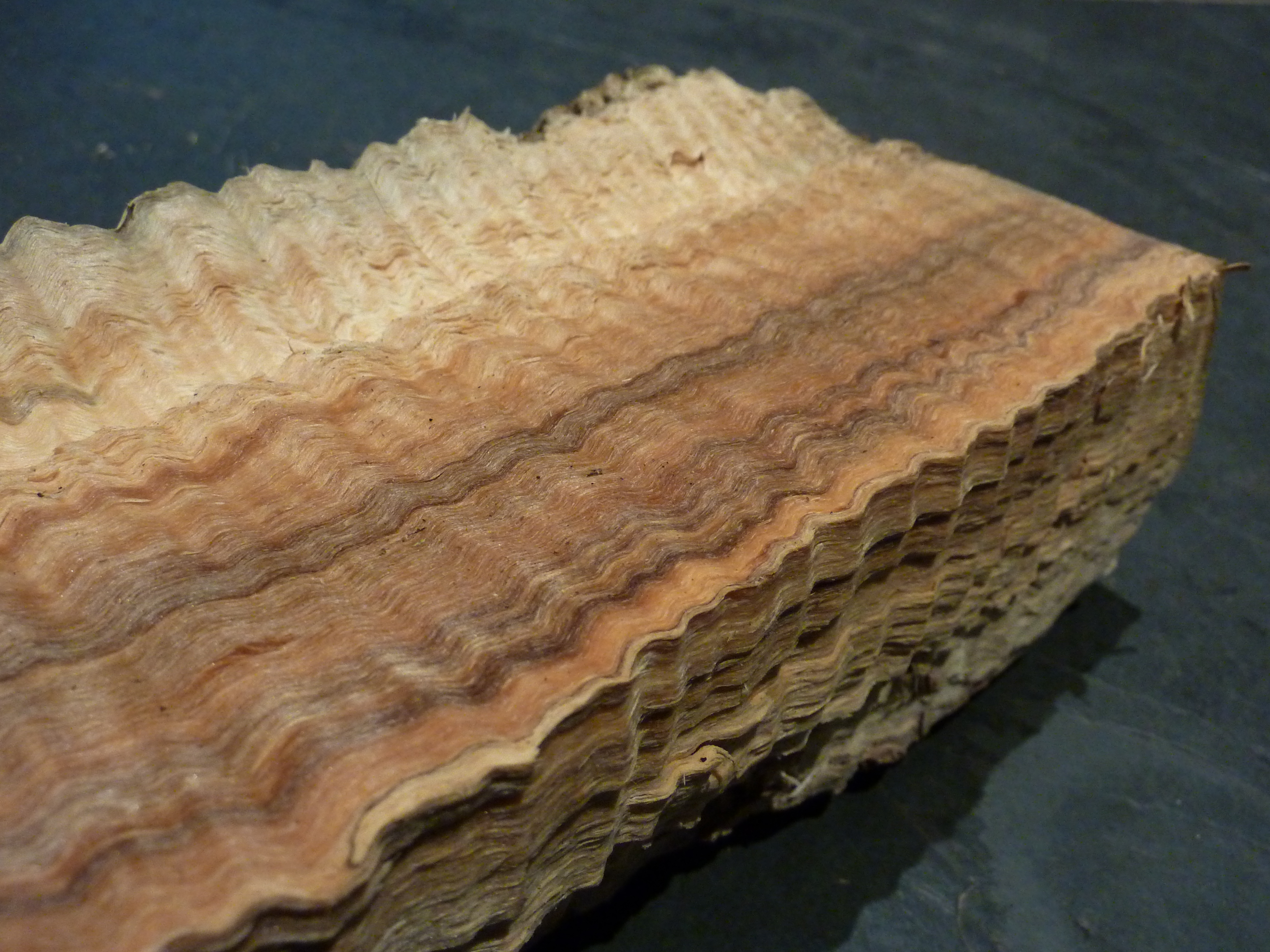 Stabilized Curly Maple